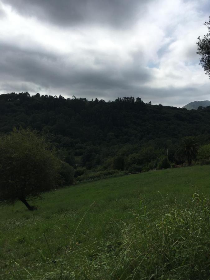 Camping Playa Sauces Ribadesella Bagian luar foto
